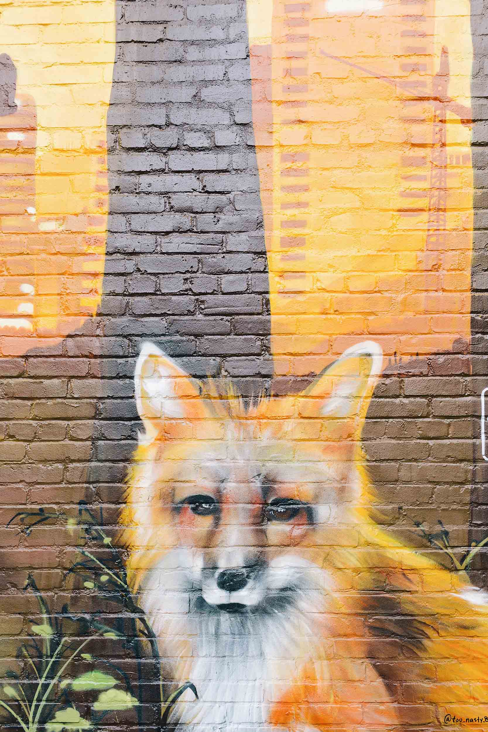 A cute fox mural in Nashville