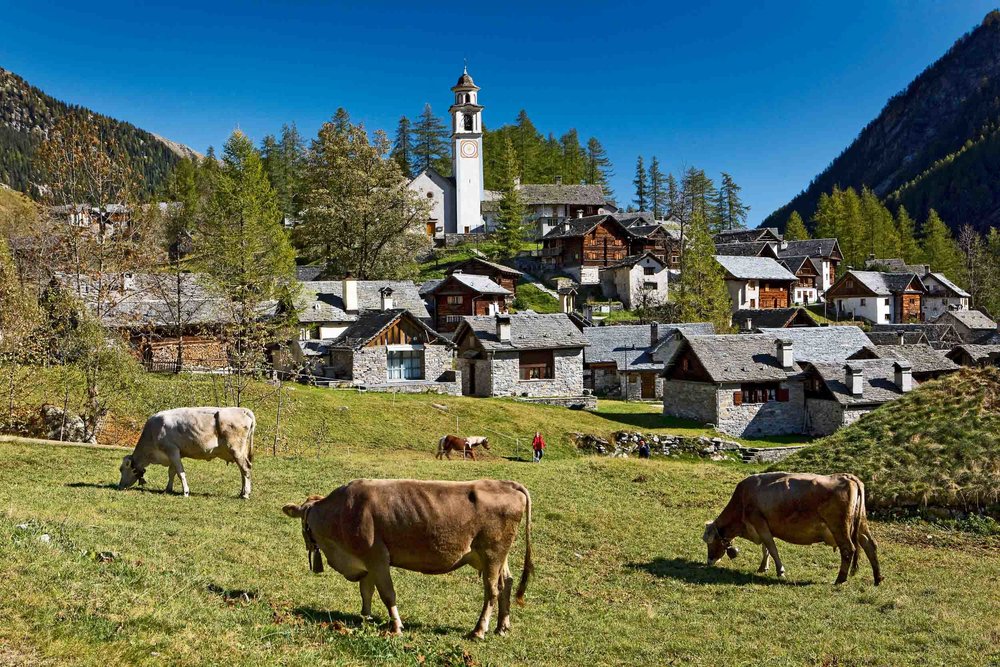 Bosco Gurin, an old Walser settlement in a side valley of Valle Maggia in Canton Ticino. Copyright by: Switzerland Tourism