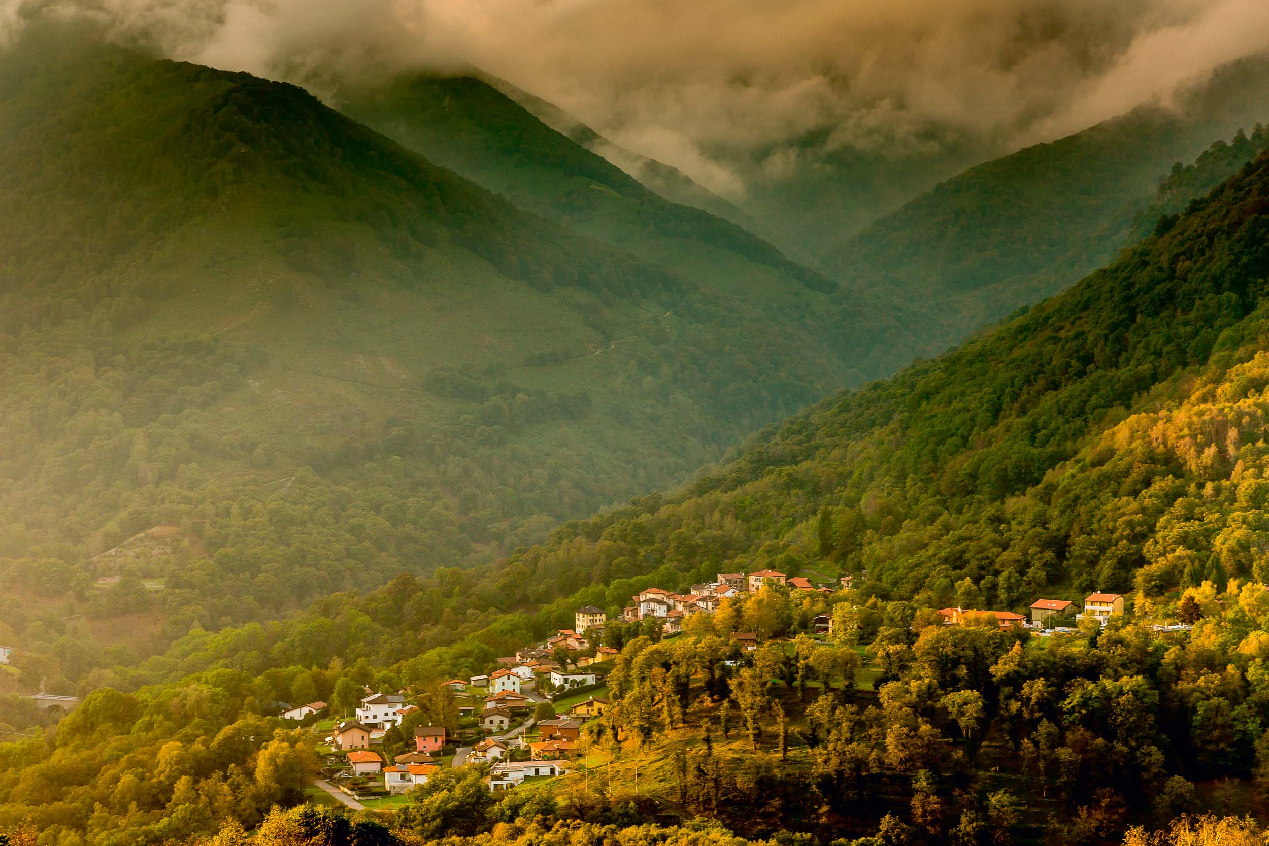 Malcantone, the gently curving, densely overgrown, domed hilly landscape, that curves up from Lake Lugano to Monte Lema, derived its livelihood for centuries mainly from one product: the chestnut.