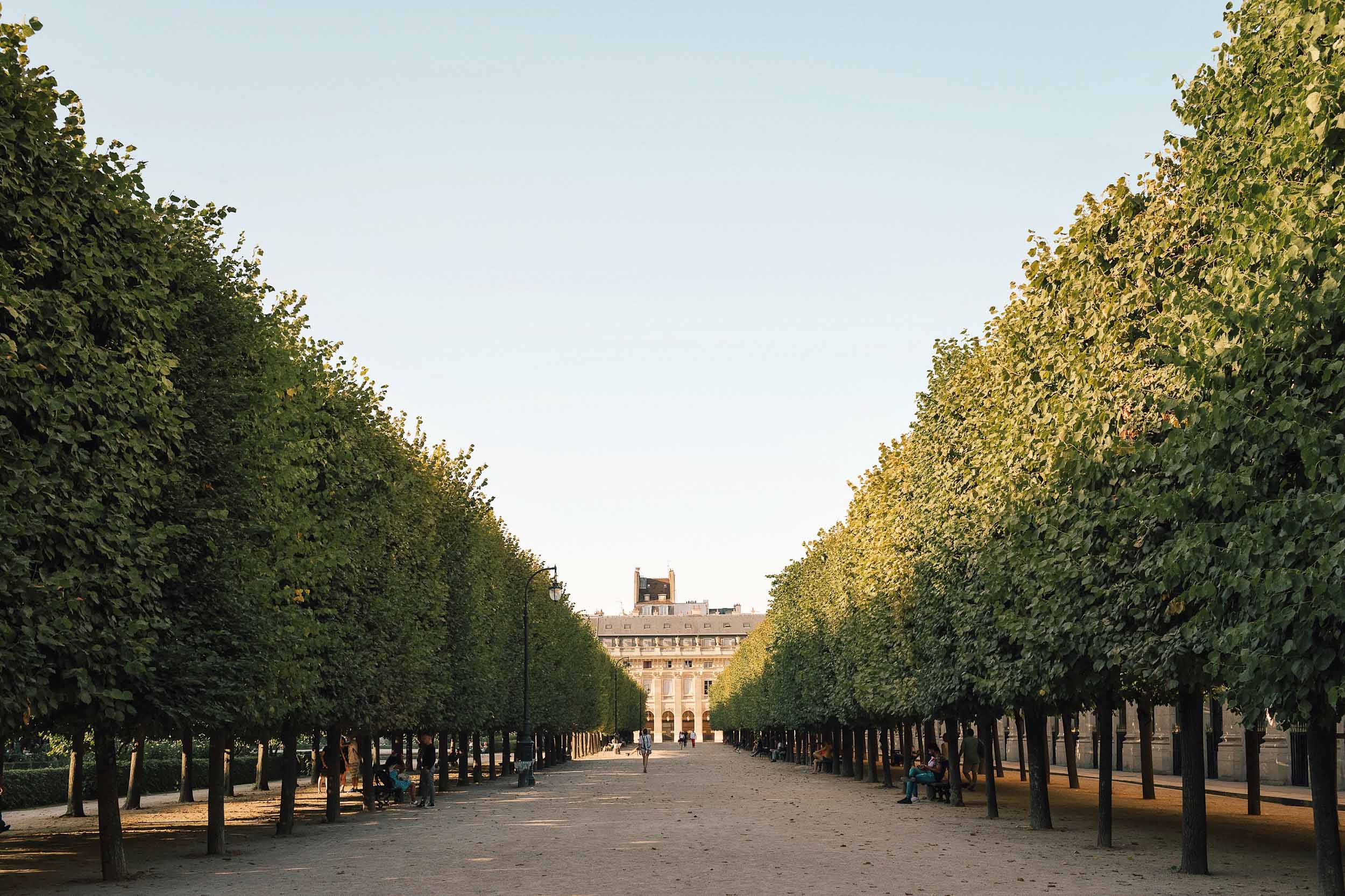 A first-timer's guide to Paris - when to visit