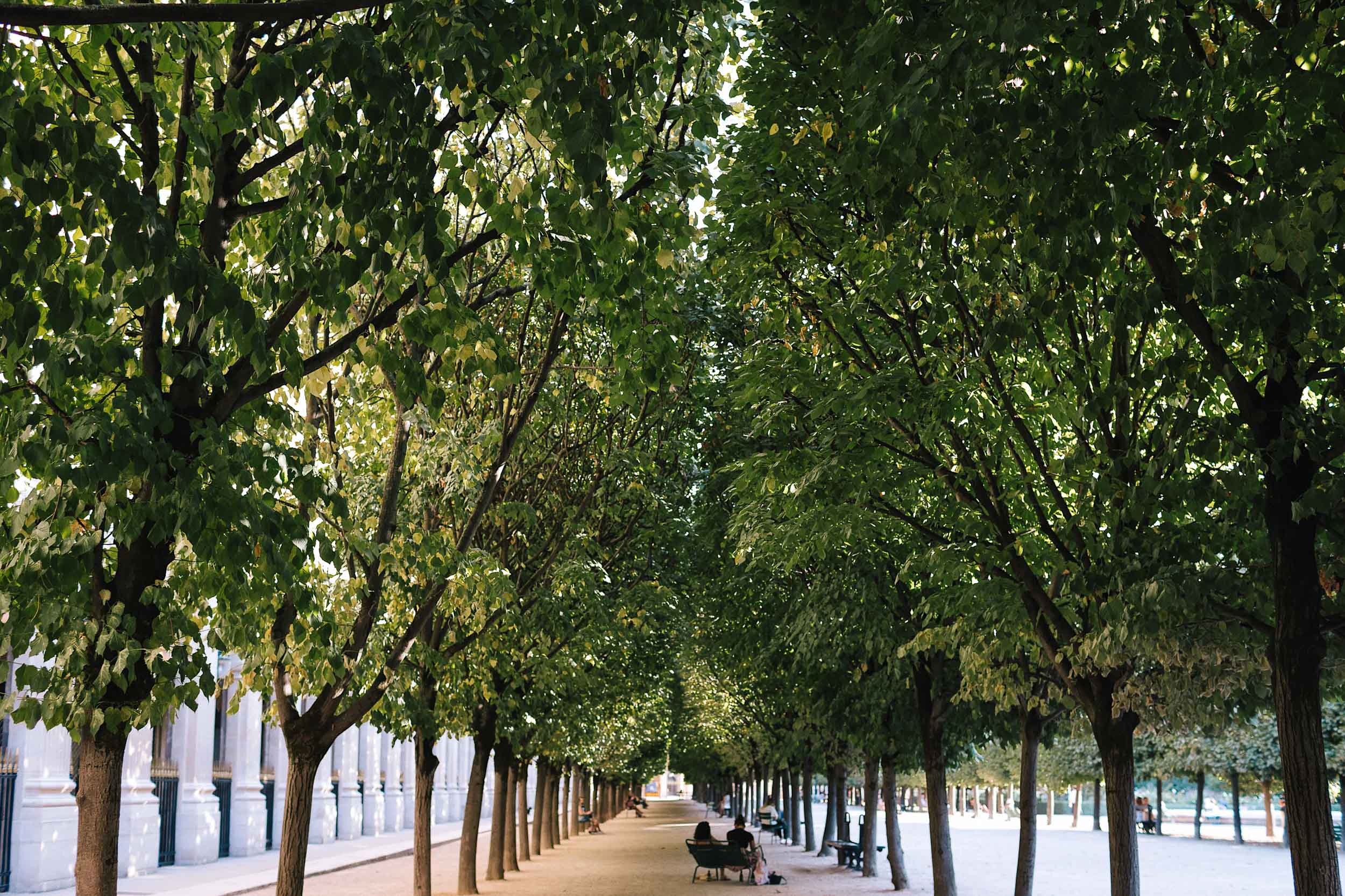 Jardin du Palais Royale in Paris' 1st Arr.