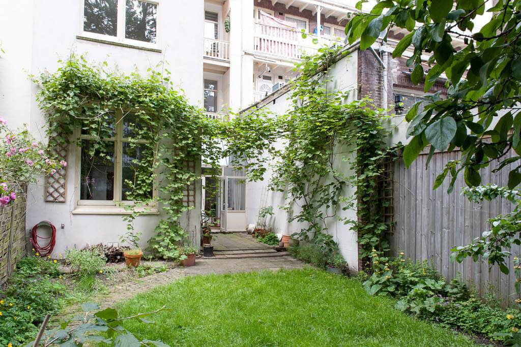 A beautiful and cheap Airbnb Amsterdam