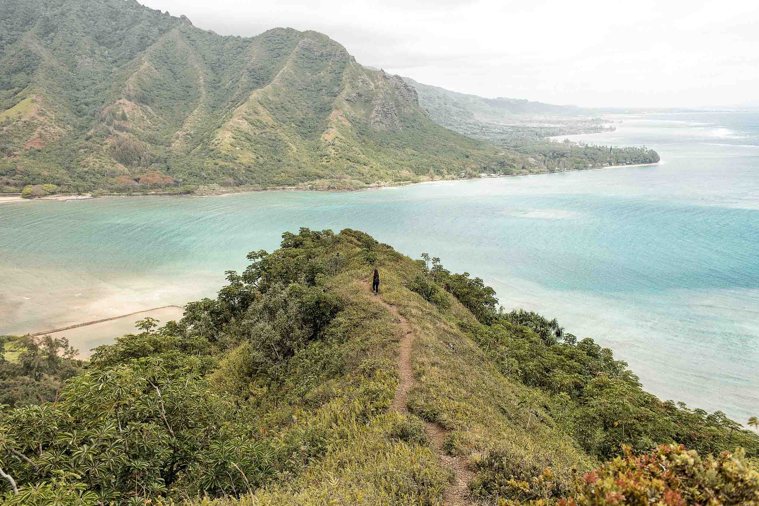 Crouching Lion Hike Oahu: Everything You Need to Know