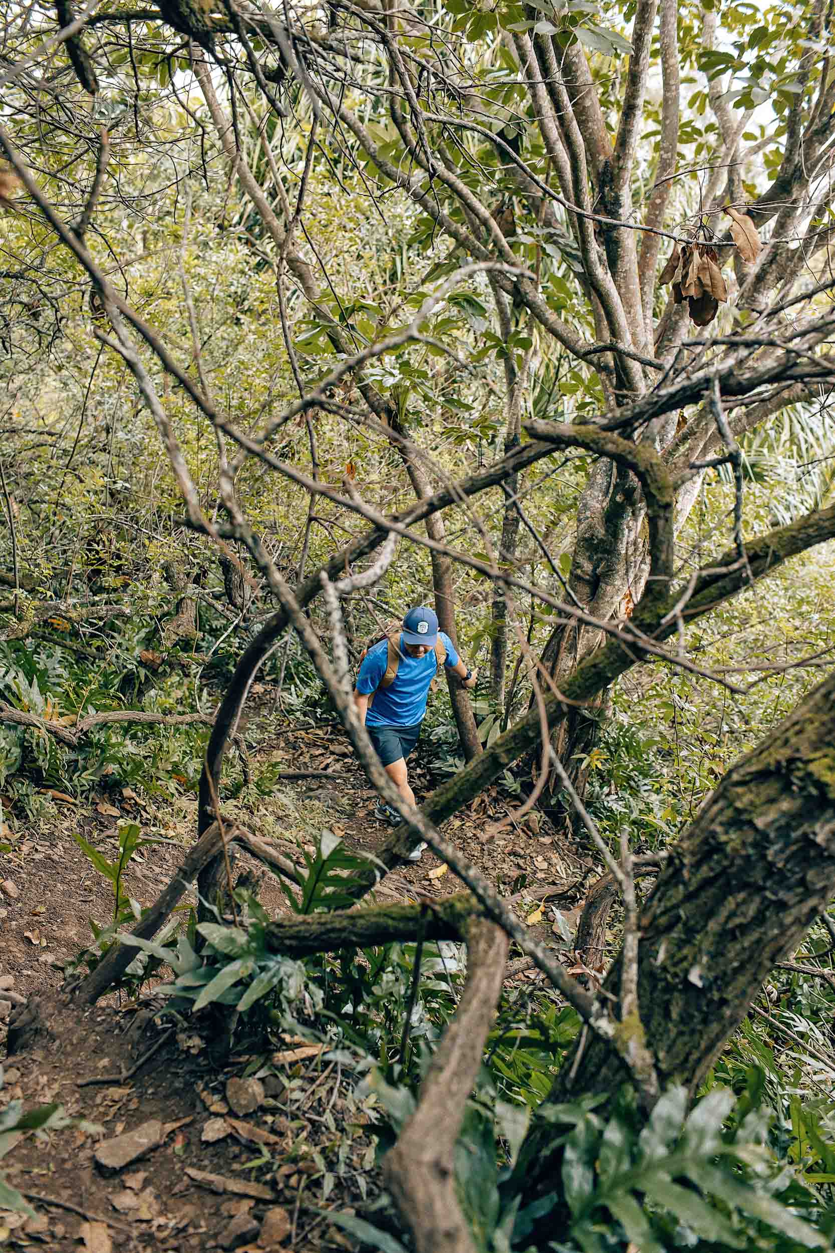 Lost in the woods trying to find Crouching Lion Oahu