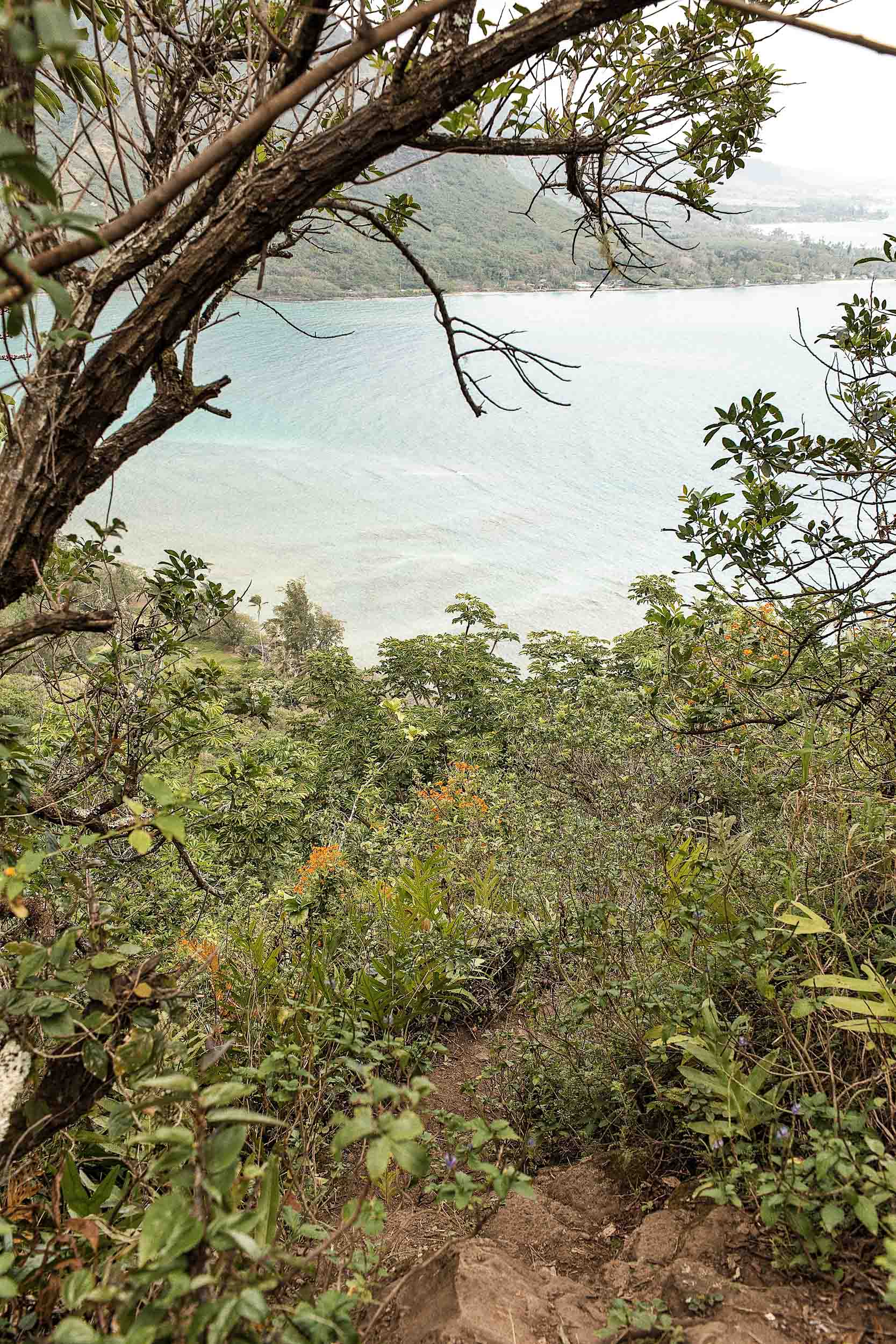 Views of Kahana Bay from the middle of the Crouching Lion Hike