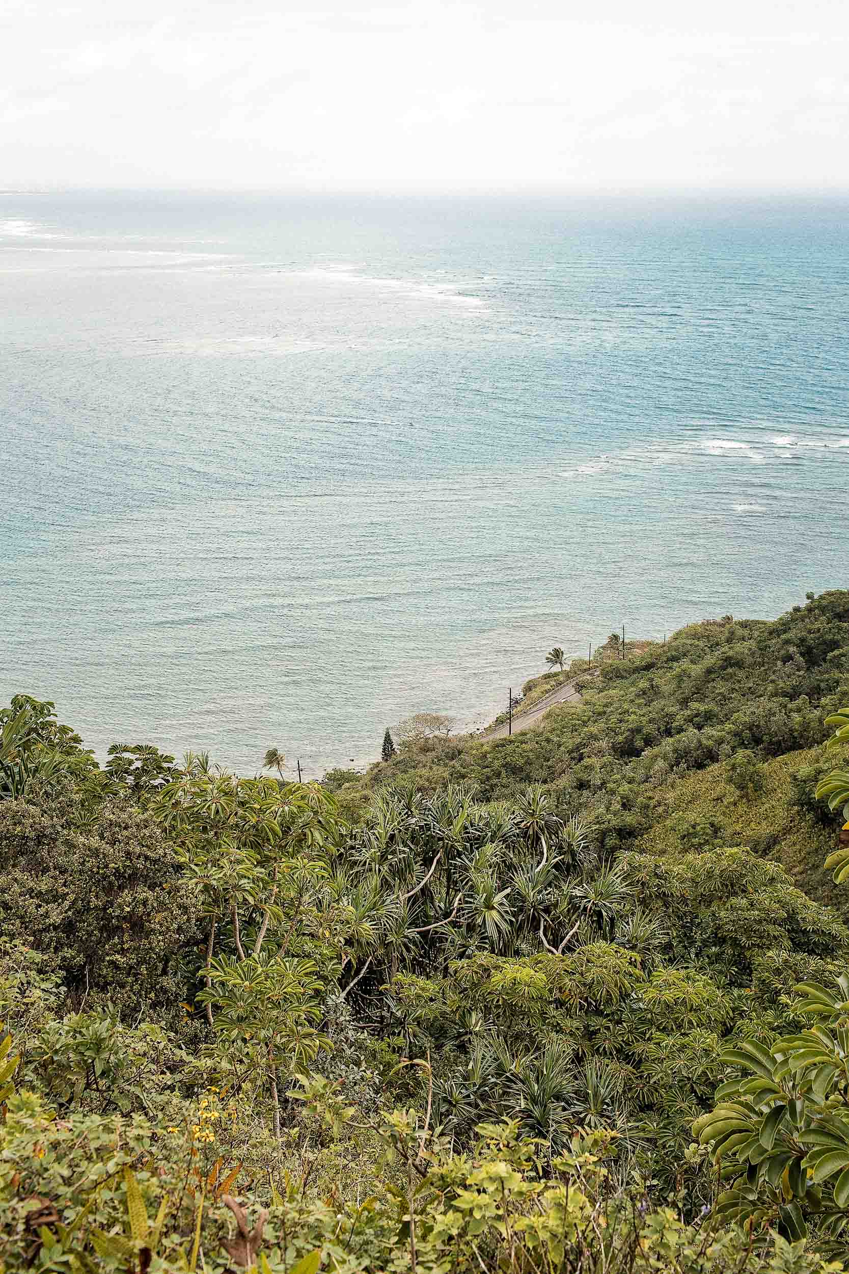 A view of the Kam Highway from the Crouching Lion Hike