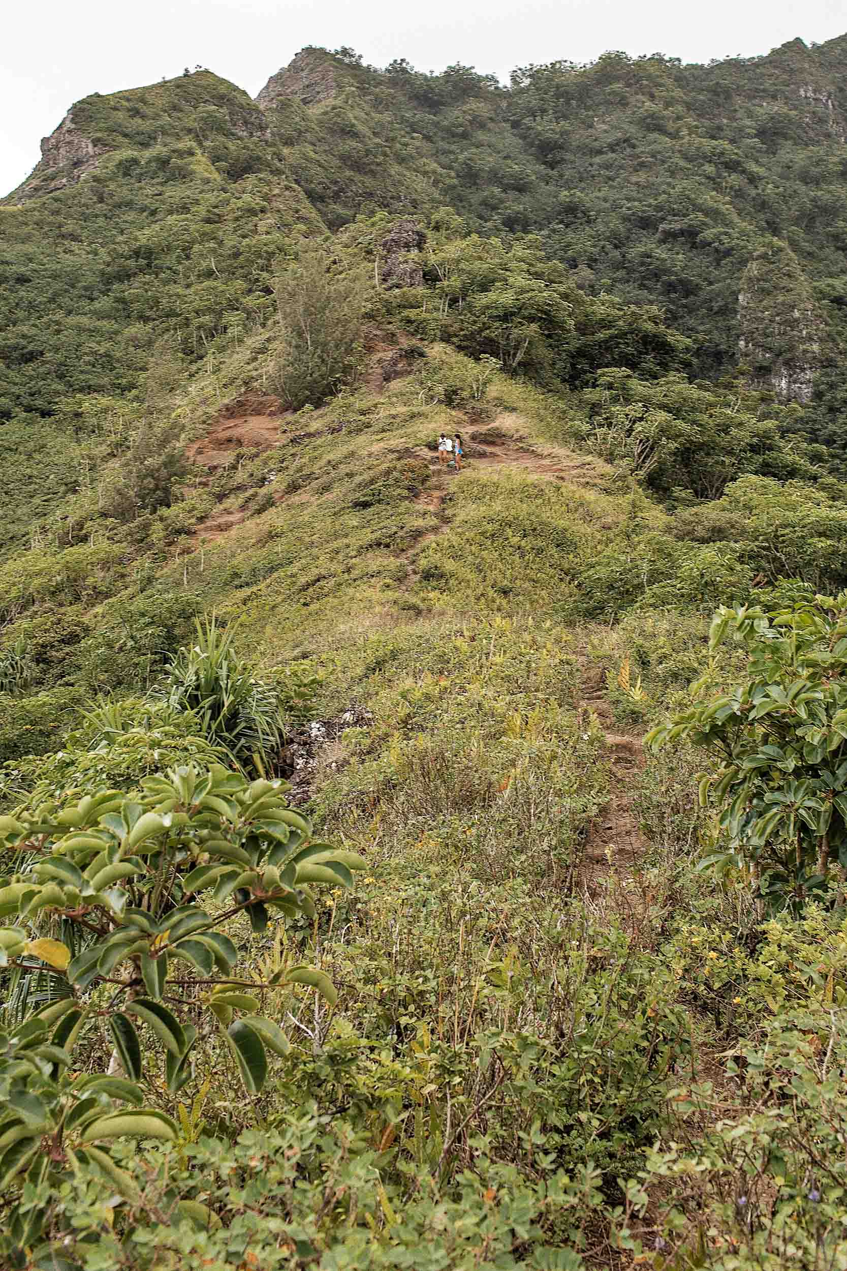 Steep inclines during the Crouching Lion Hike