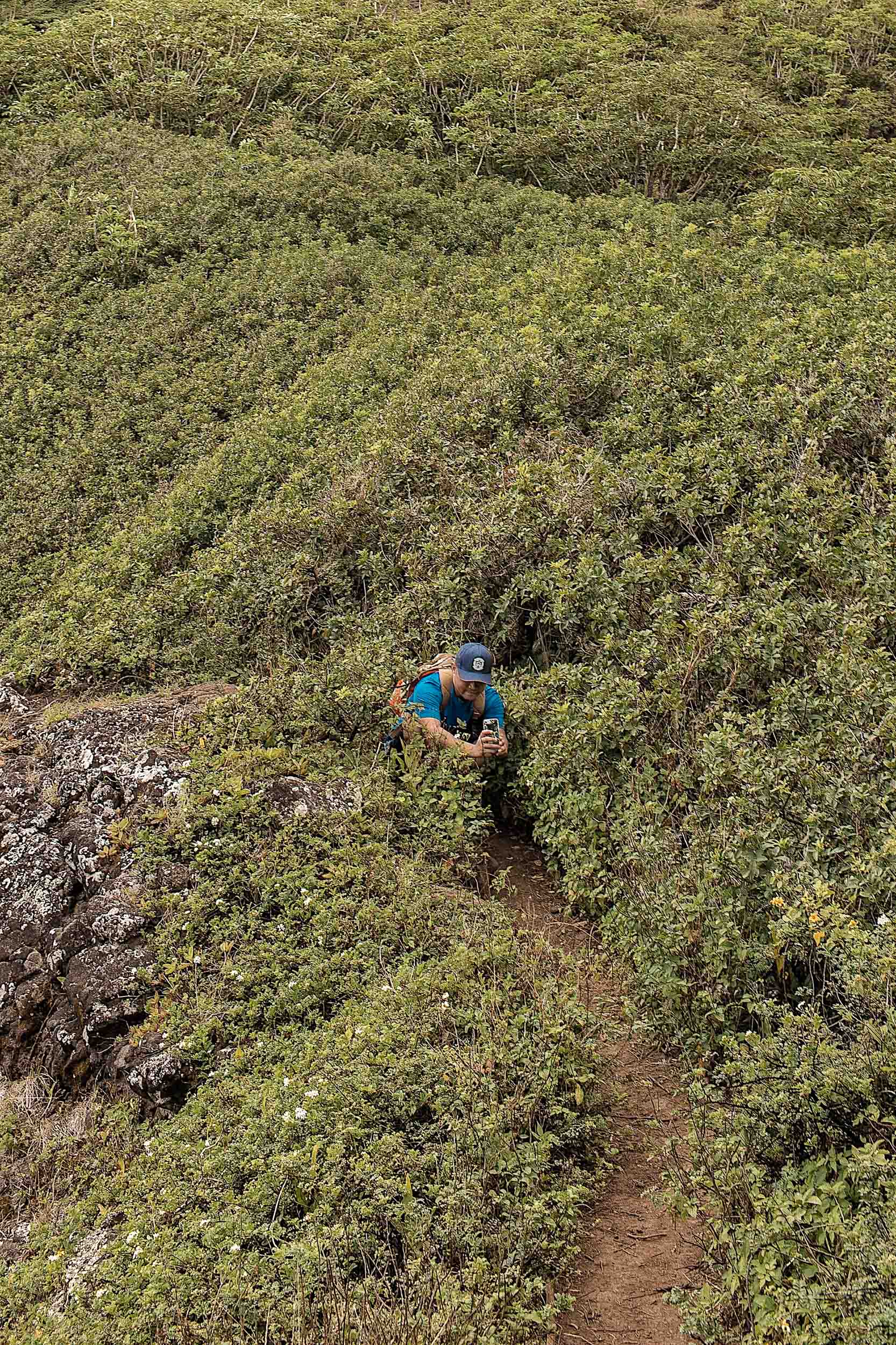 Snapping photos as we exit the tree tunnel on our way to Crouching Lion Oahu