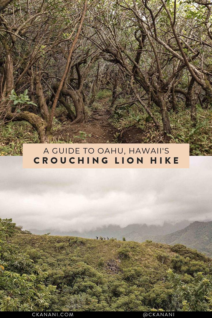 The Crouching Lion Hike Oahu is one of the best hikes in Hawaii. Here is everything you need to know before you go! #oahu #hawaii #hiking #crouchinglion #travelguide