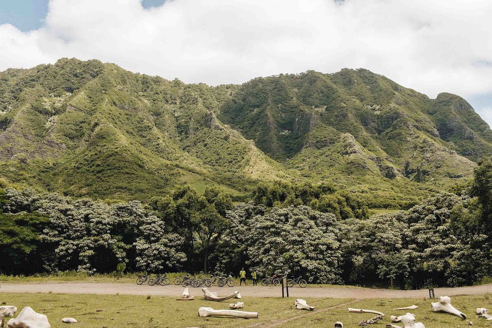 ckanani-kualoa-ranch-69.jpg