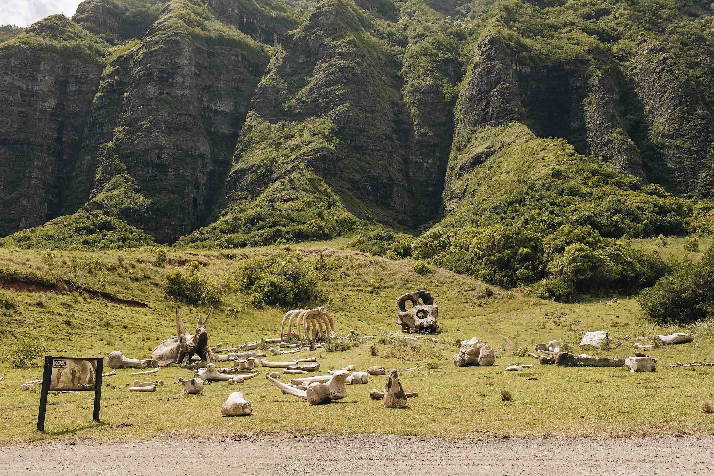 ckanani-kualoa-ranch-70.jpg