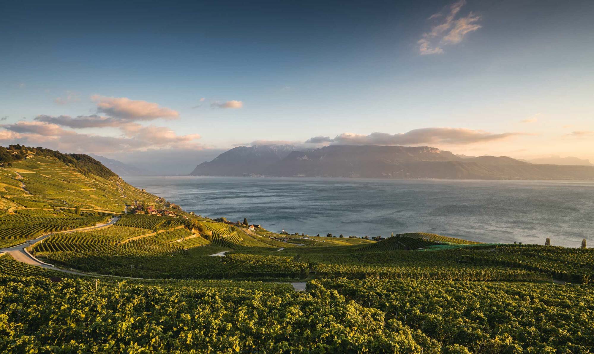 View from the Lavaux near Chexbres with evening atmosphere.  Copyright by: Switzerland Tourism
