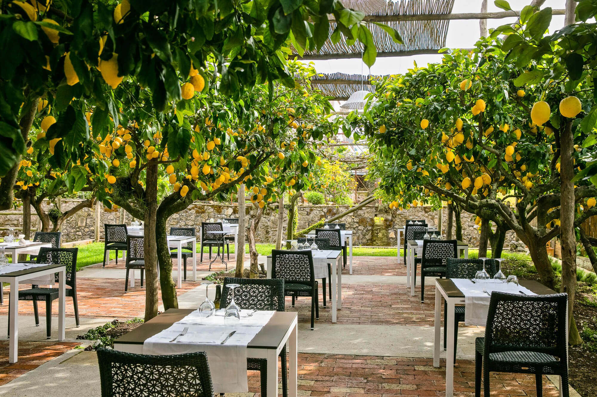 Where to stay in Capri: Casa Mariantonia amongst the lemon groves