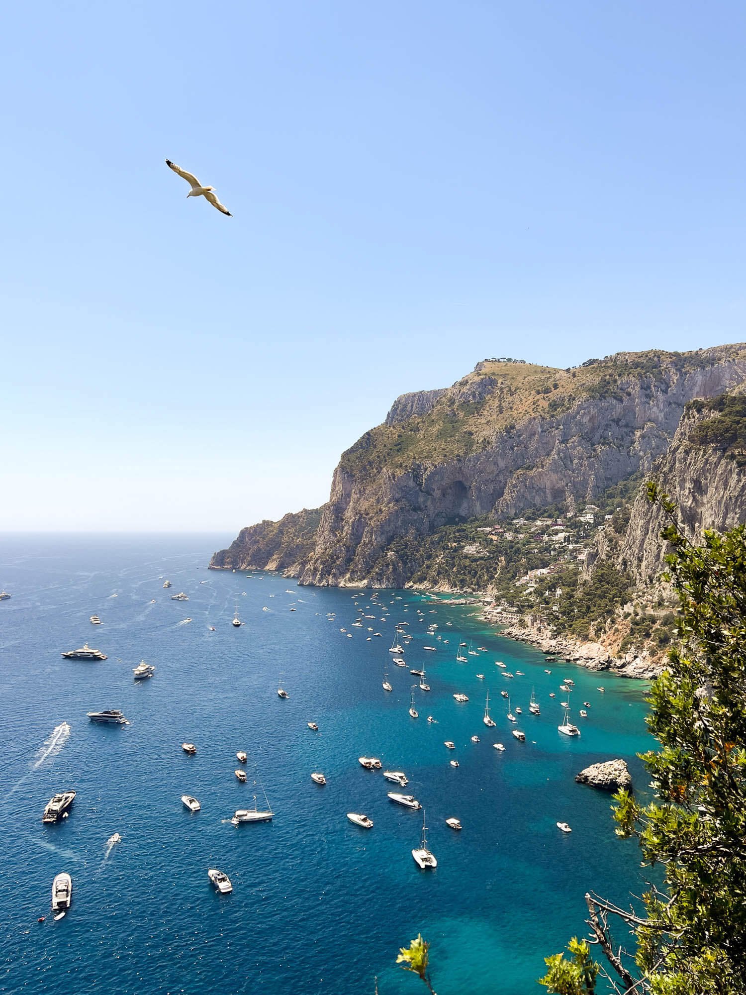 Are the beaches in Capri nice?