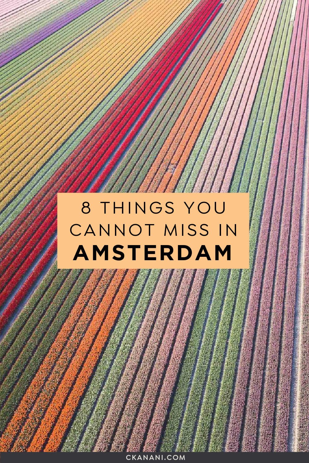 8 things you cannot miss in Amsterdam! 3 days in Amsterdam itinerary. Amsterdam travel tips, Amsterdam visit, Amsterdam itinerary, the Netherlands itinerary, Europe trip, Europe travel