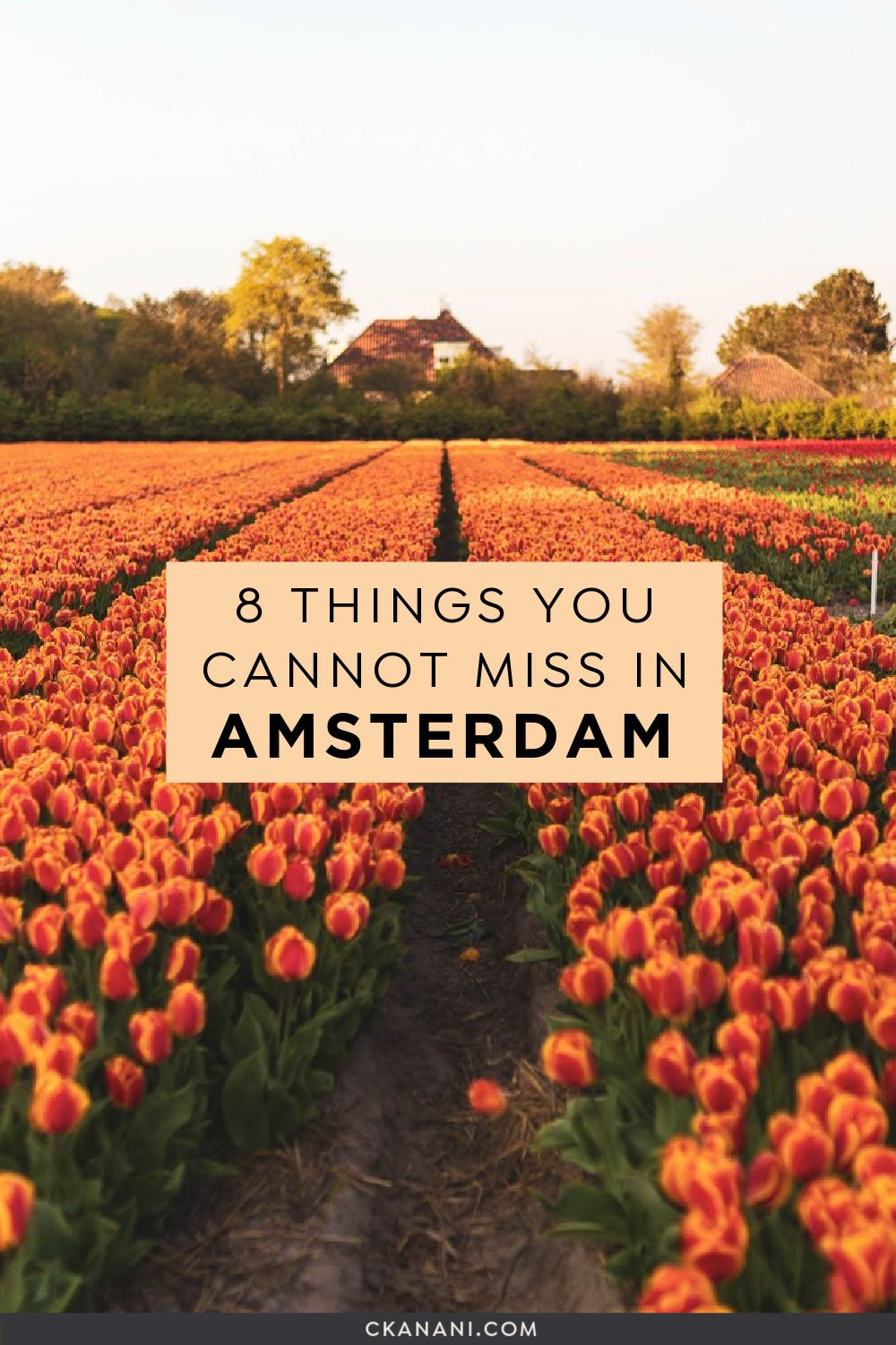 8 things you cannot miss in Amsterdam! 3 days in Amsterdam itinerary. Amsterdam travel tips, Amsterdam visit, Amsterdam itinerary, the Netherlands itinerary, Europe trip, Europe travel