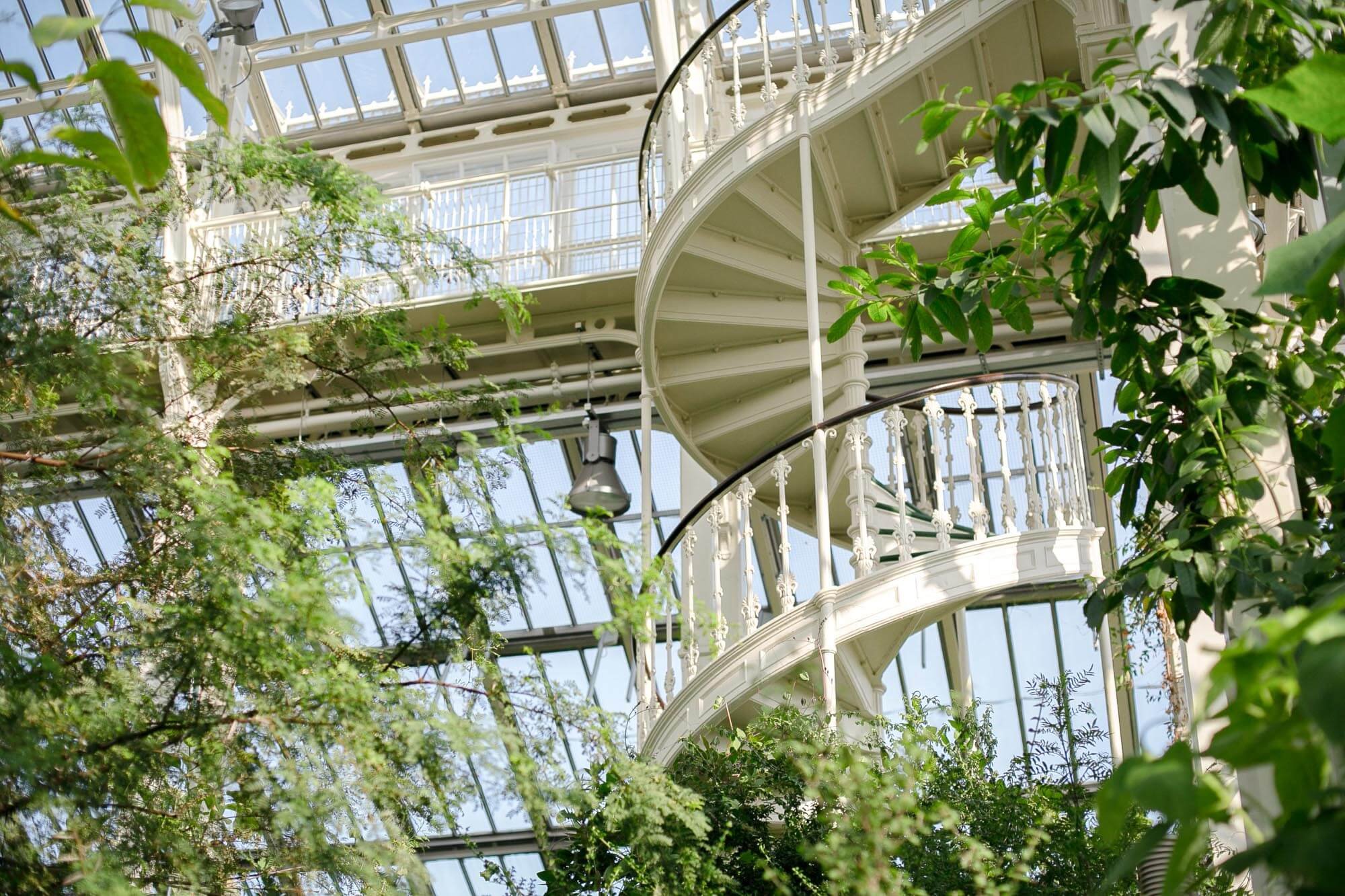 Best things to do in London: visit the beautiful Kew Gardens