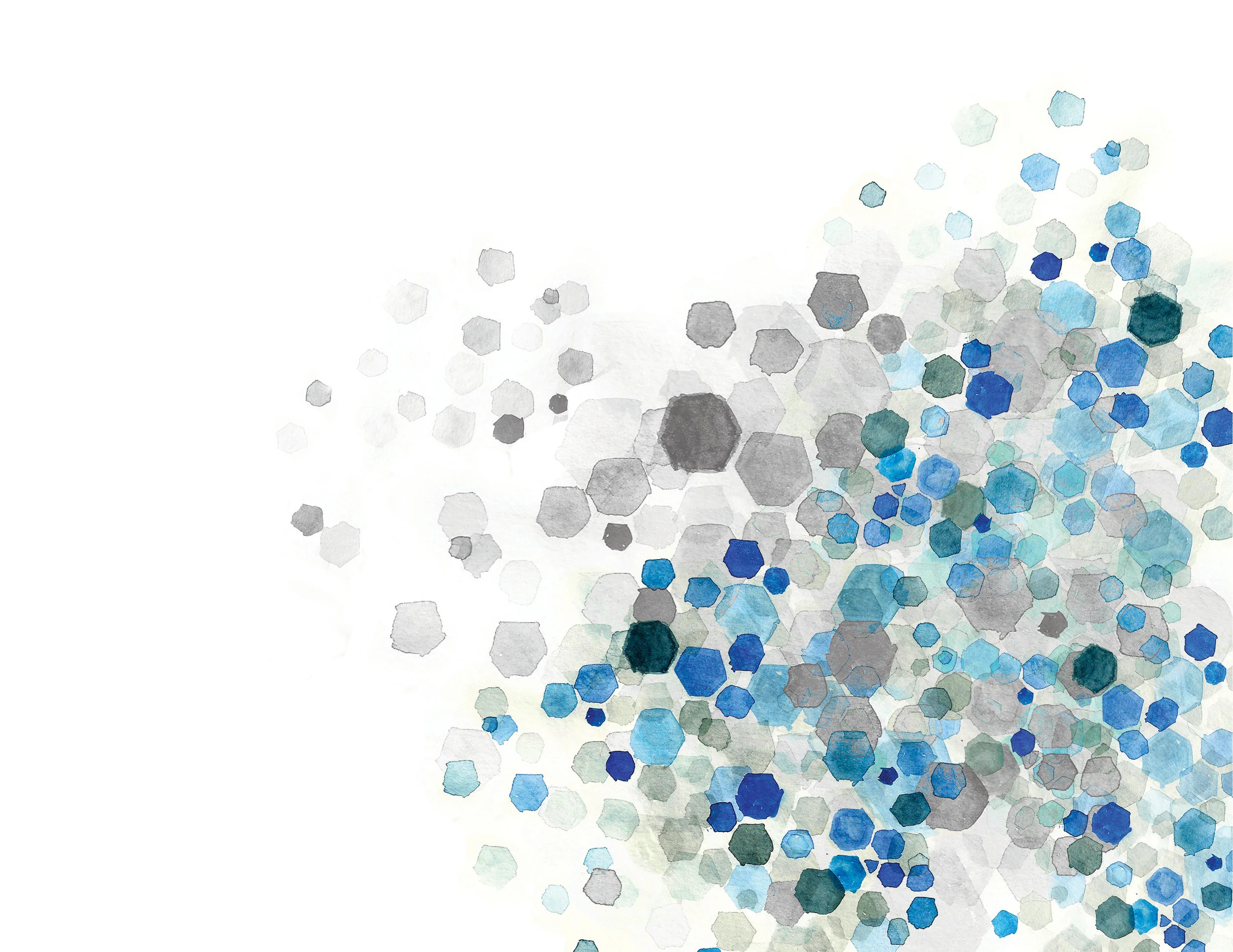 SAS WEB BRANDINGX2.jpg