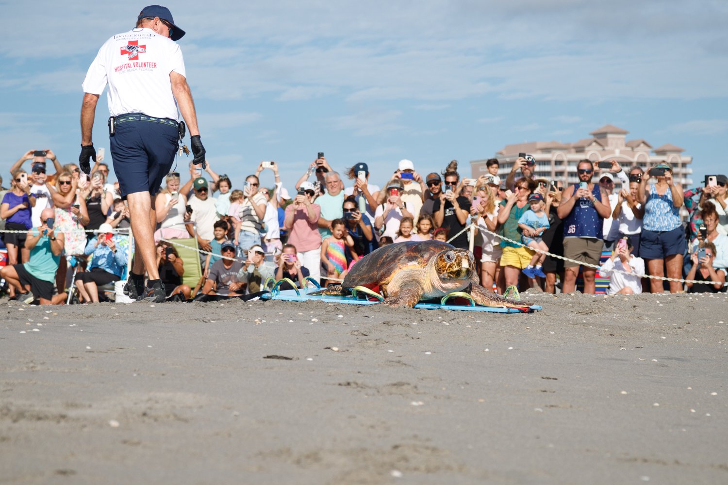 🐢 From Recovery to the Reef: My Morning with Swim Shady in Juno Beach!