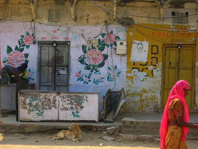 Beautiful colors and textures in New Delhi. 