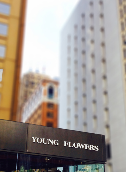 "Young Flowers" Photo: John Michael Gill. 2014.