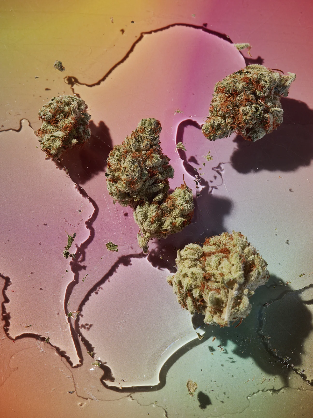 _X7A0474 copy-Exposure.jpg