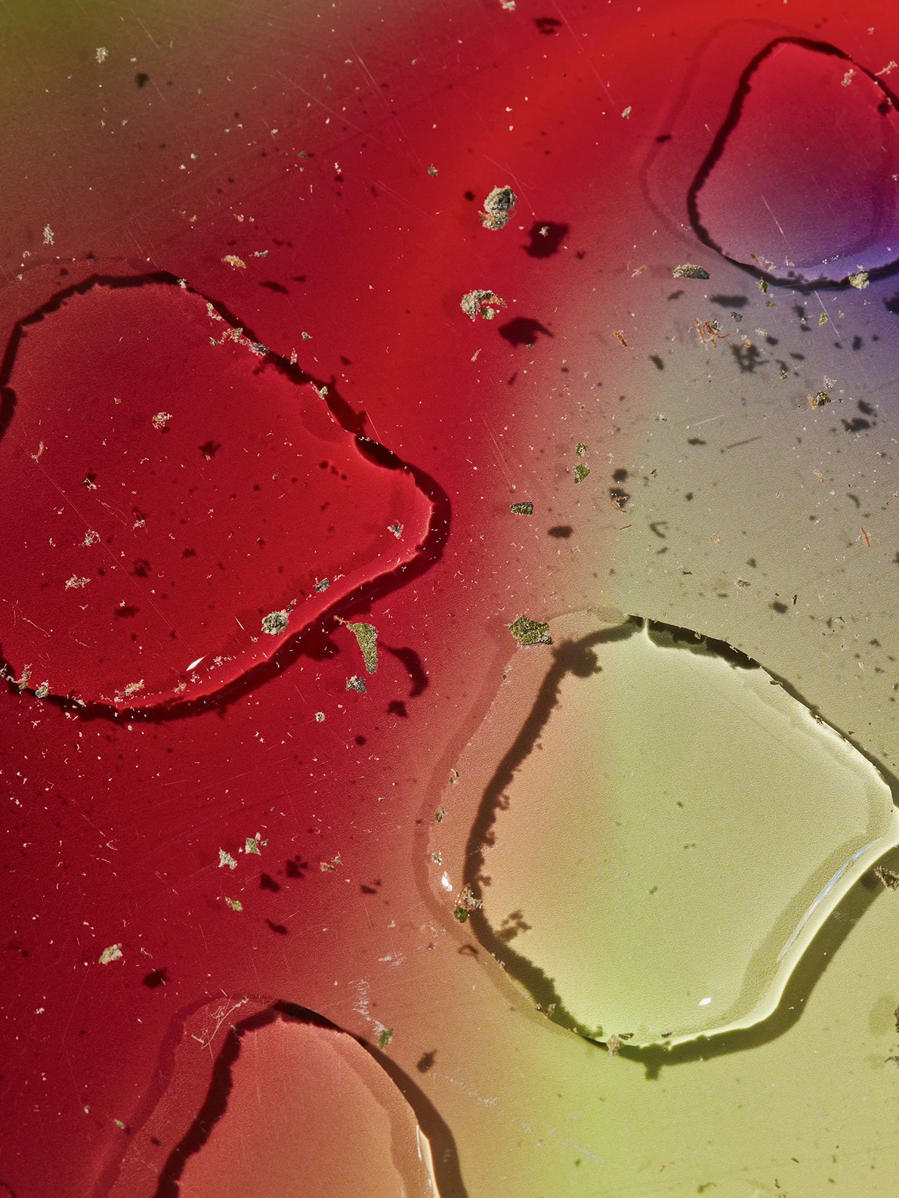 _X7A0453 copy-Exposure.jpg