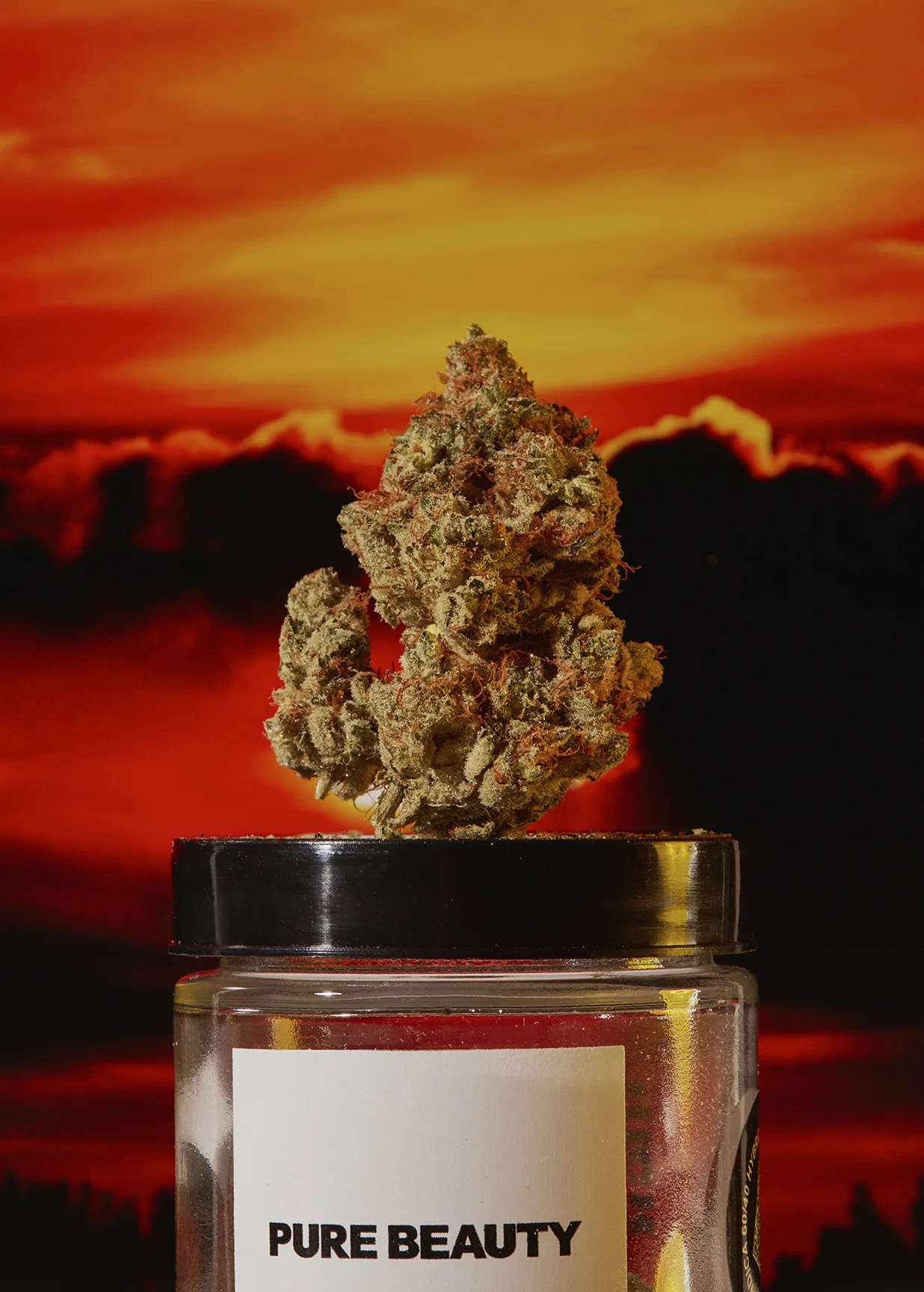 _X7A0519 copy-Exposure.jpg