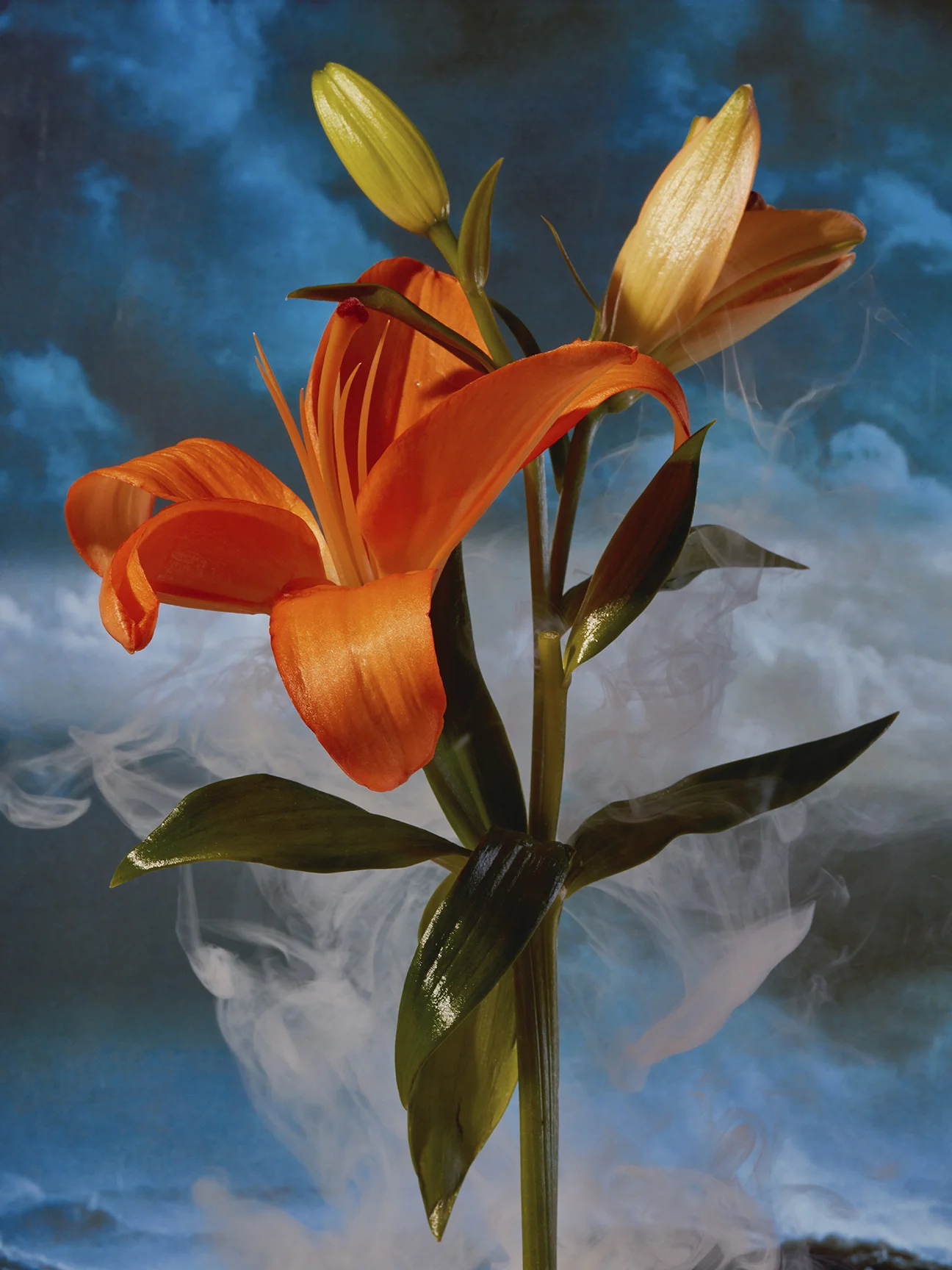 _X7A0602 copy-Exposure.jpg