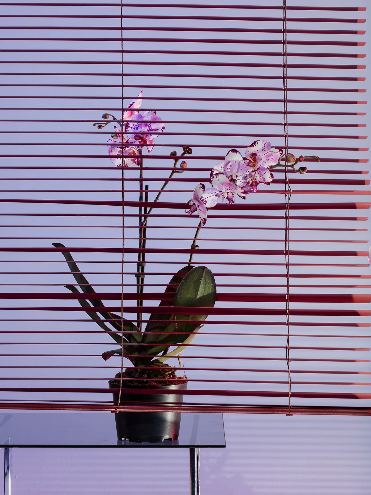 0152_4-10-2018_FADER_DBG_Yaeji-Exposure.jpg