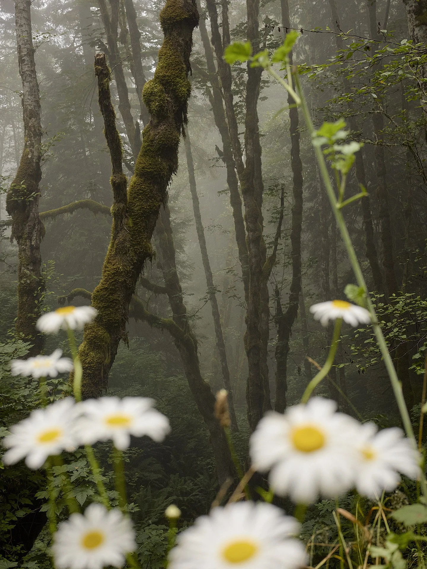 _44A7973-Exposure.jpg