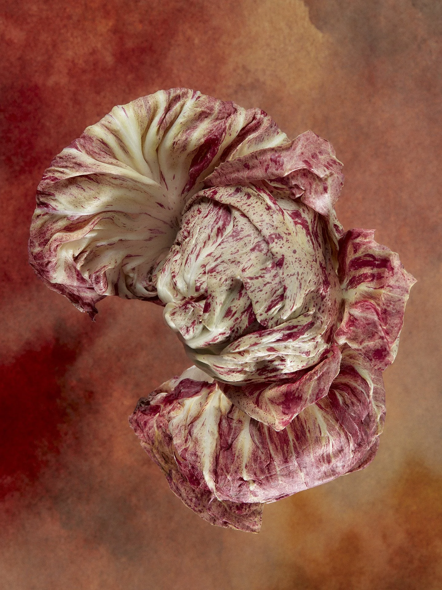 STRANGE PRODUCE5715.jpg