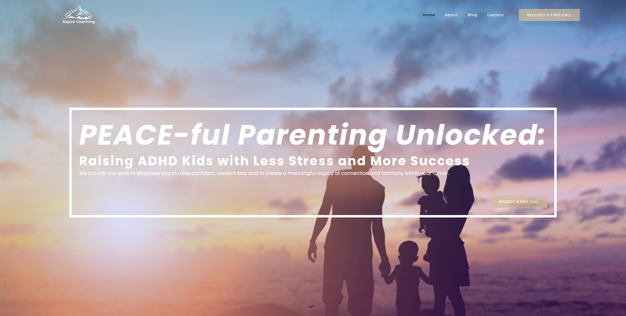  Aspire Coaching (2024)   coachtoresilience.com  