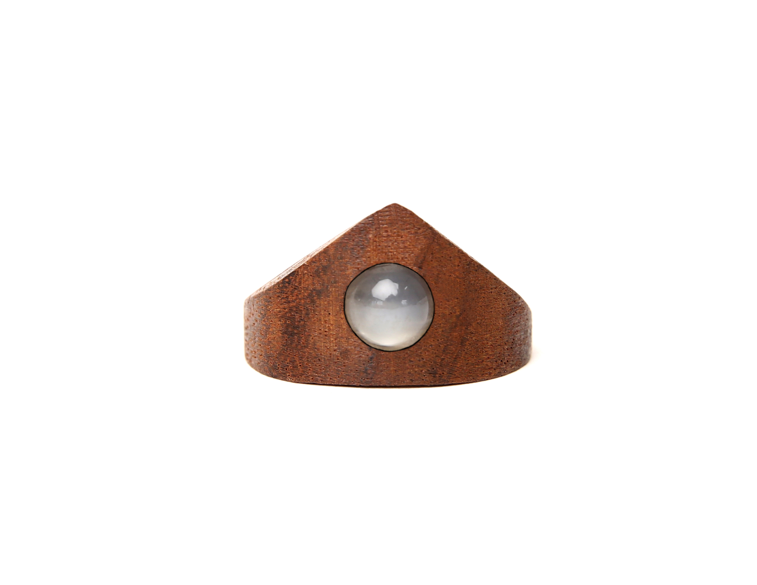 The Fin Ring.jpg