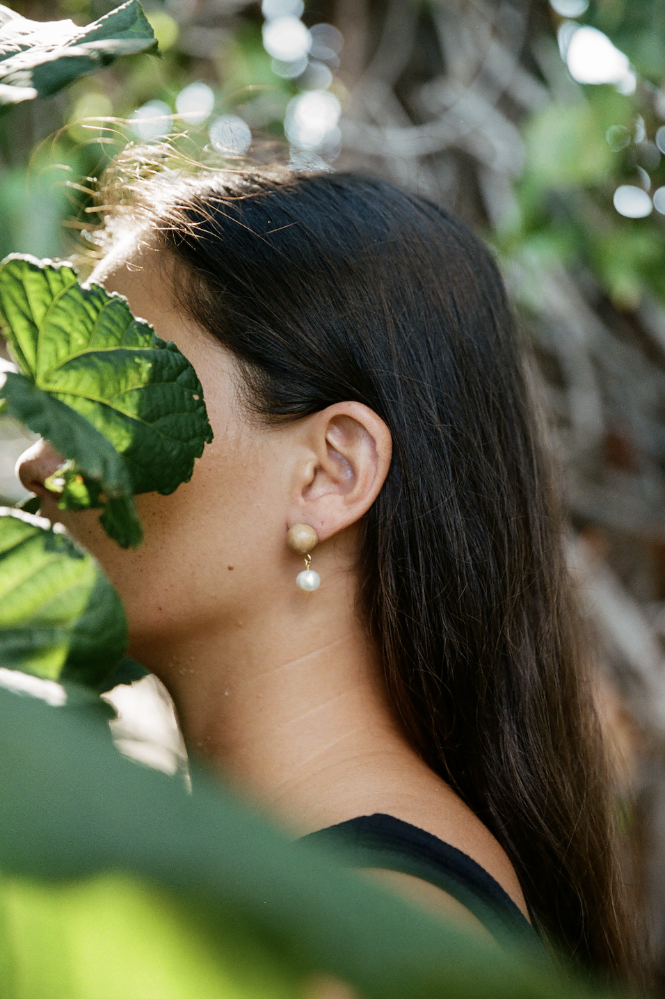 Screen Shot 2024-09-04 at 12.53.44 PM.png