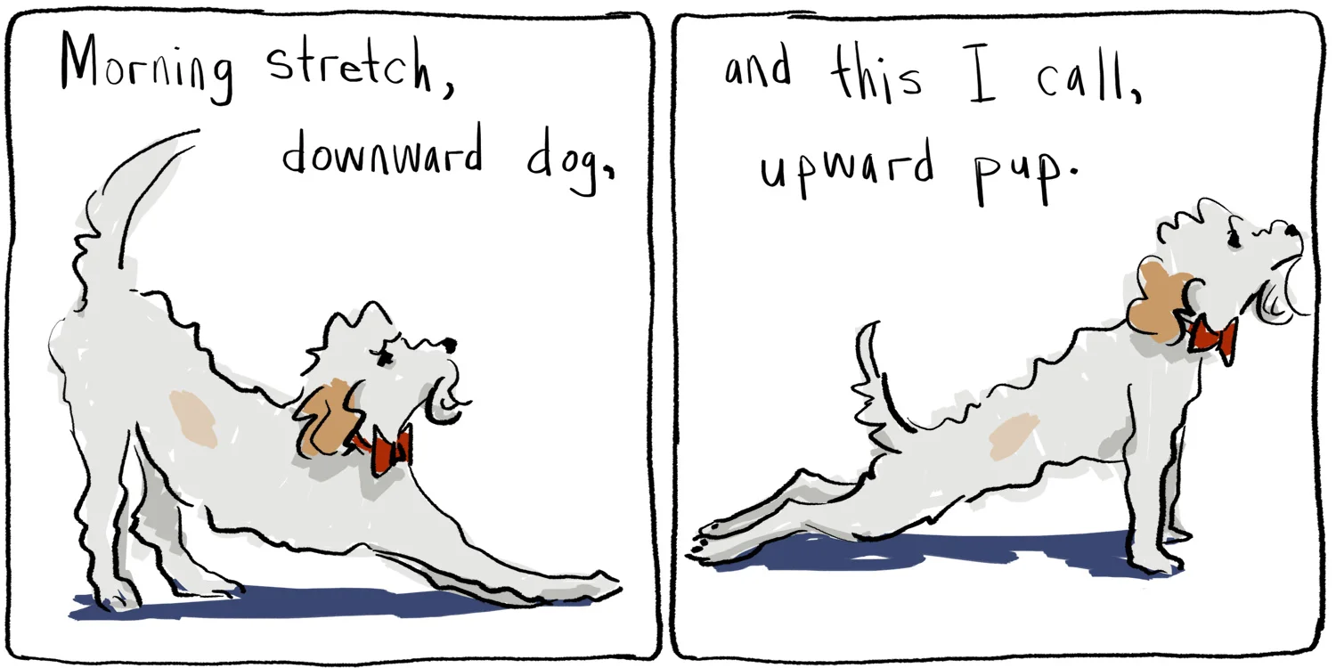 downdog.jpg