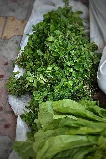 Fresh and Green