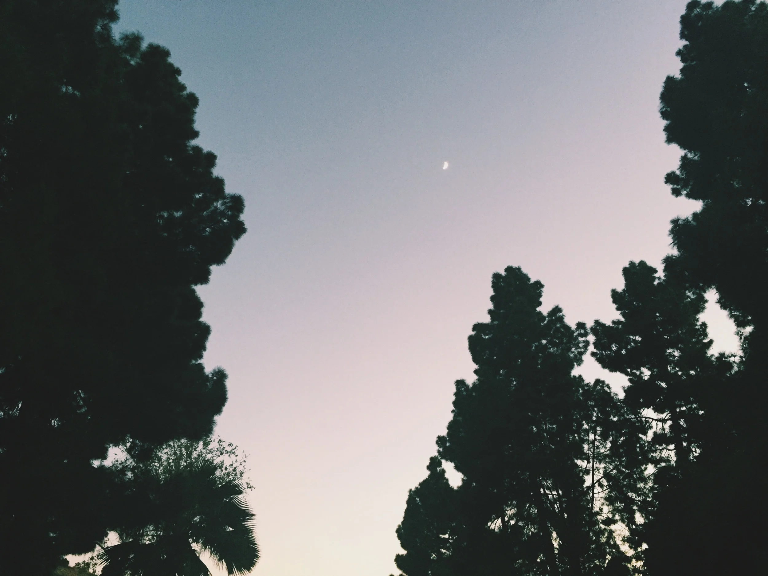 Social Media is for the {Consenting} Birds