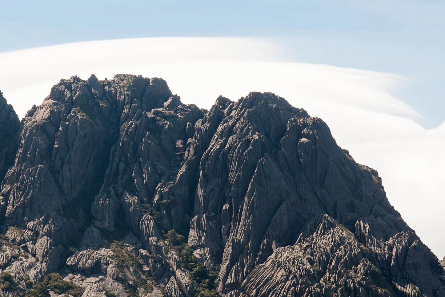 Agulhas Negras, Parque nacional de Itatiaia