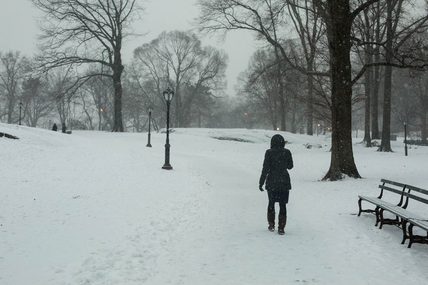  New York City, Central Park 