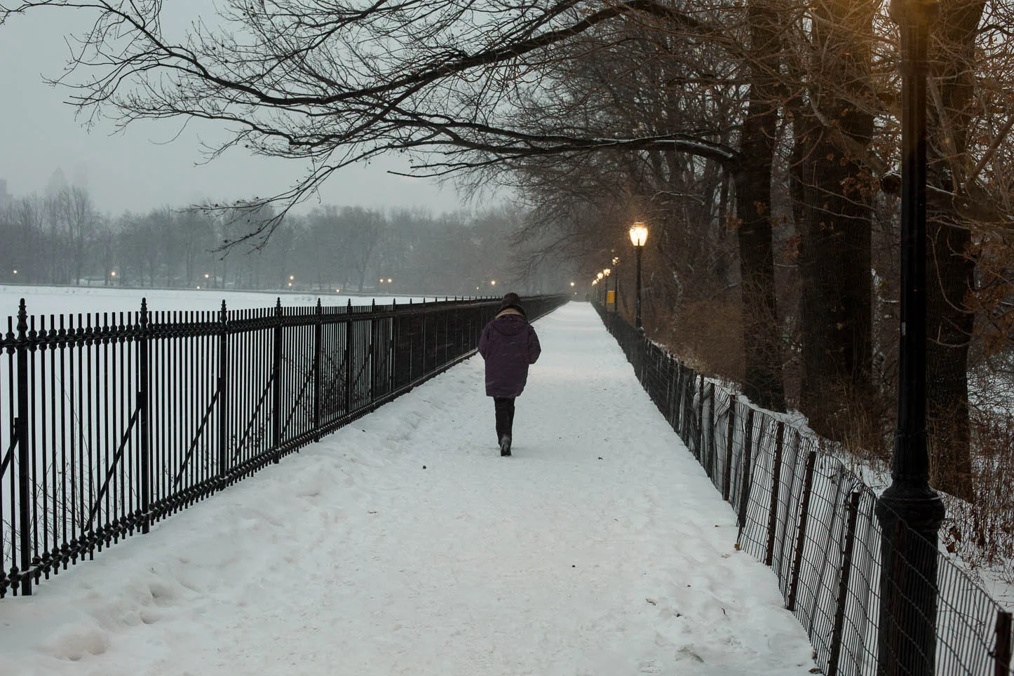 New York City, Central Park