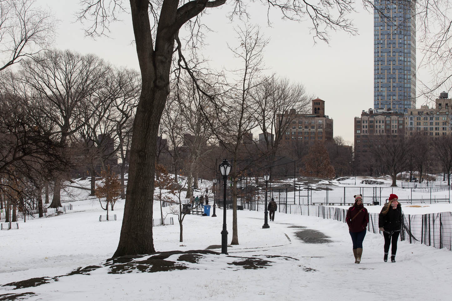  New York City, Central Park 