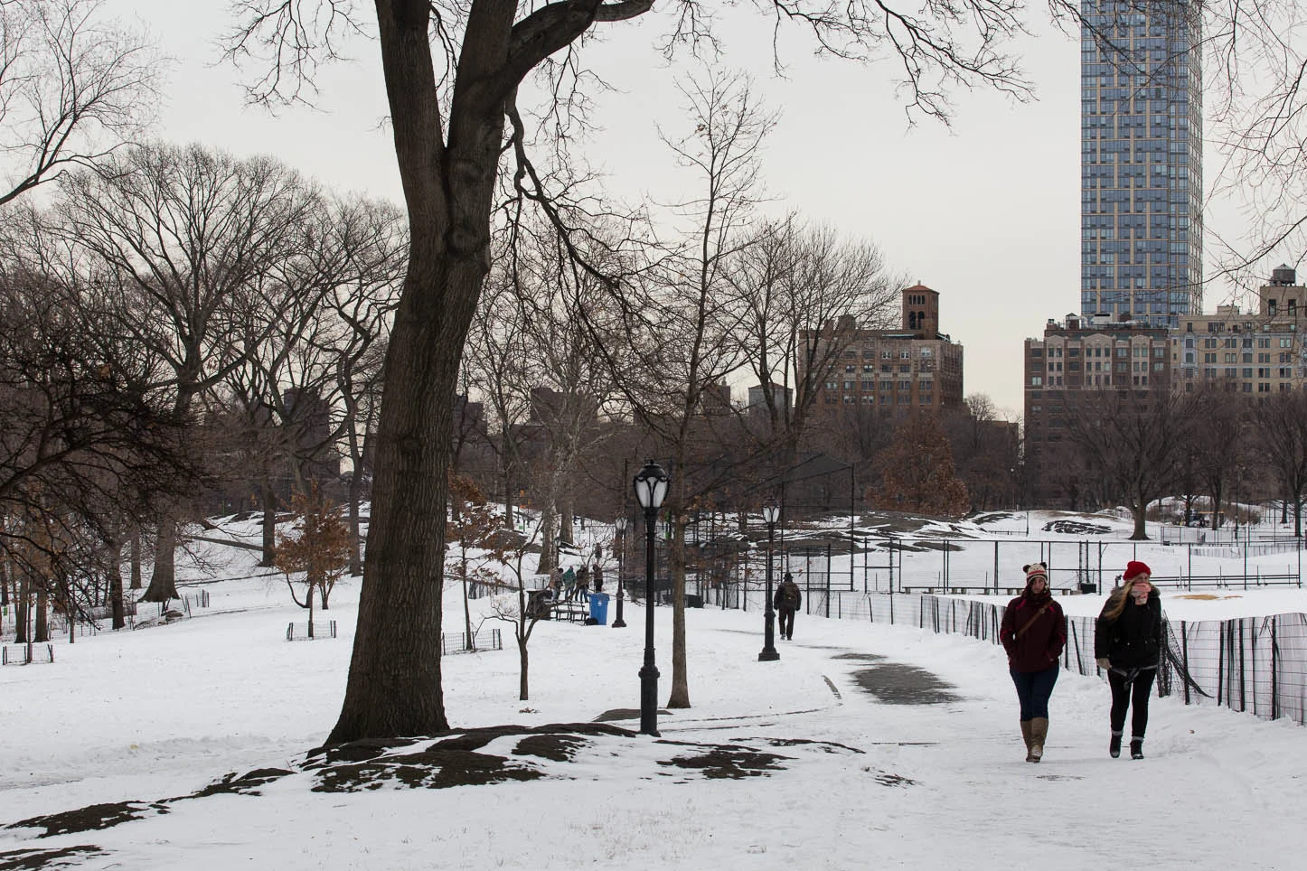 New York City, Central Park