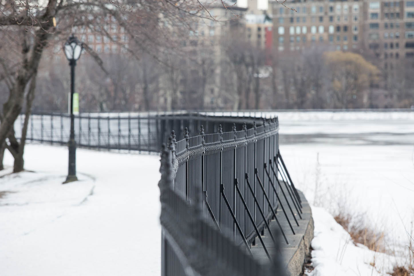  New York City, Central Park 