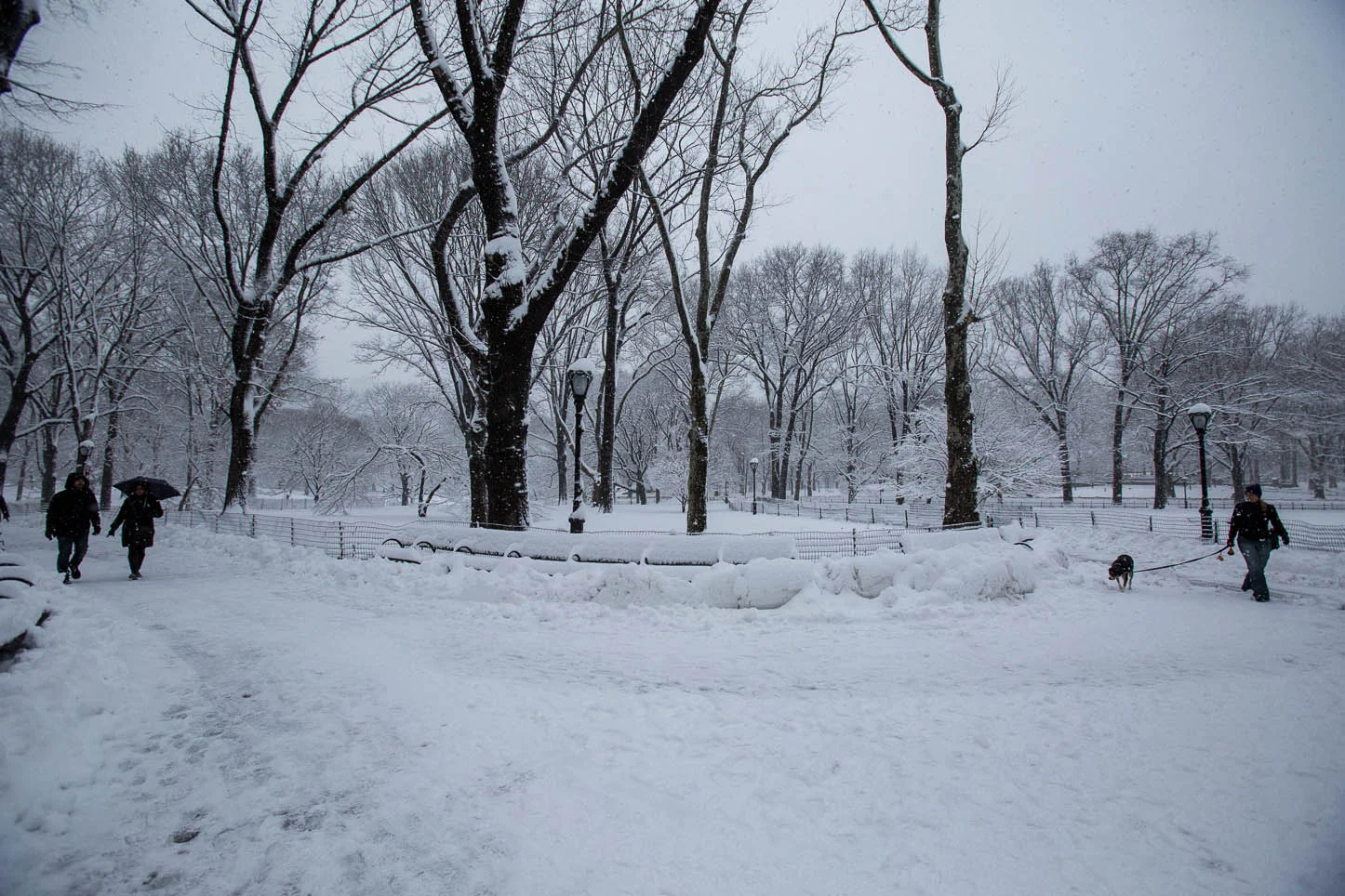 New York City, Central Park