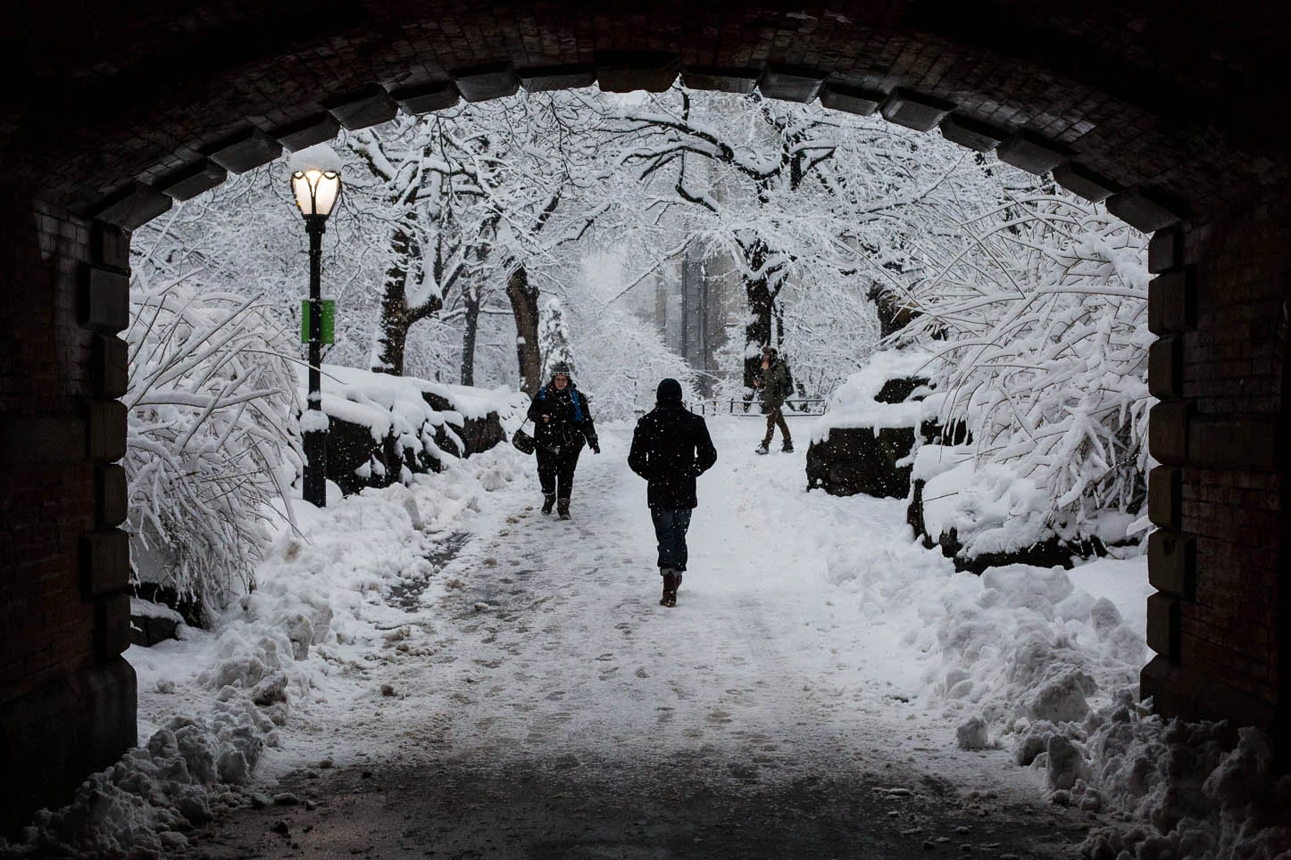 New York City, Central Park