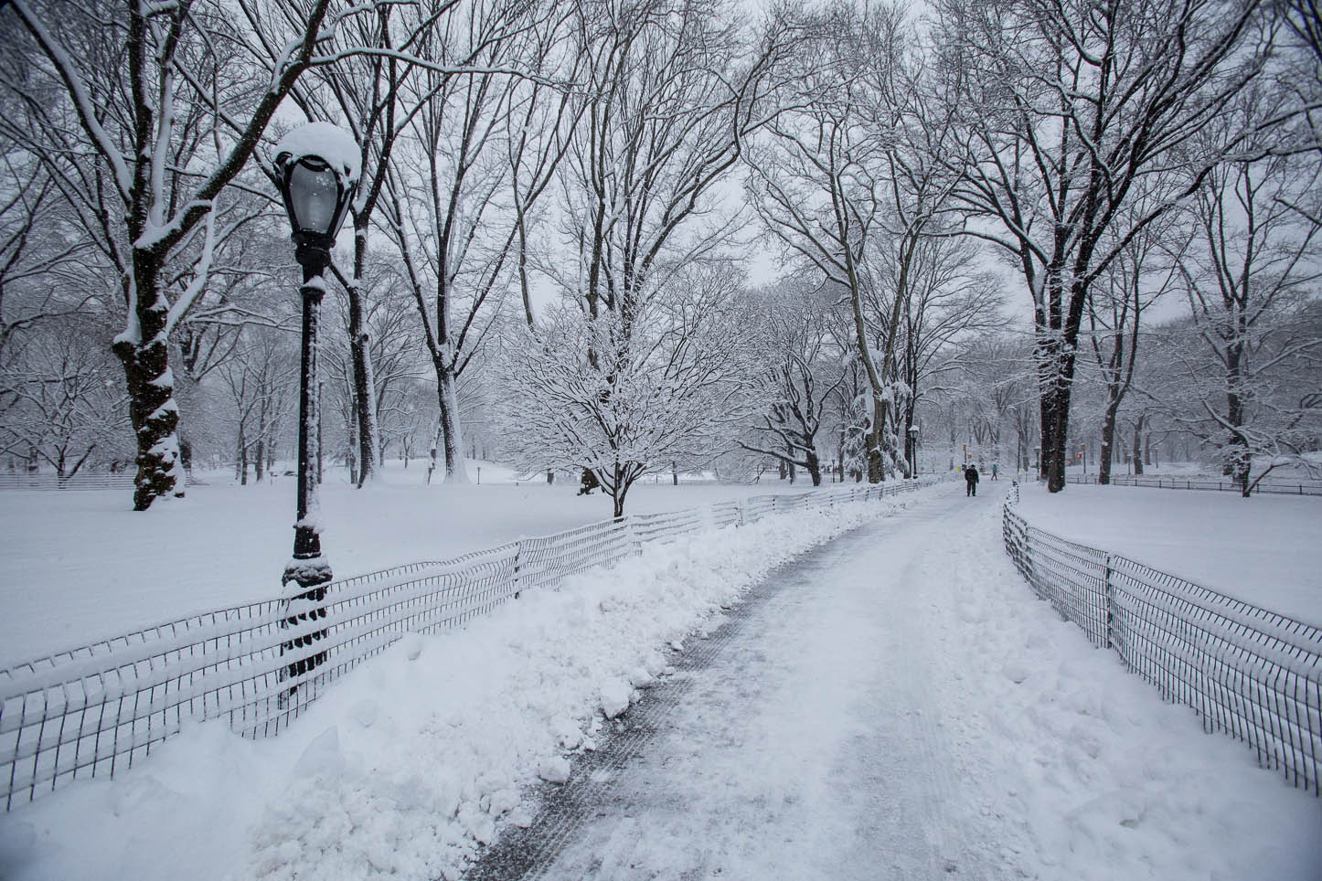  New York City, Central Park 