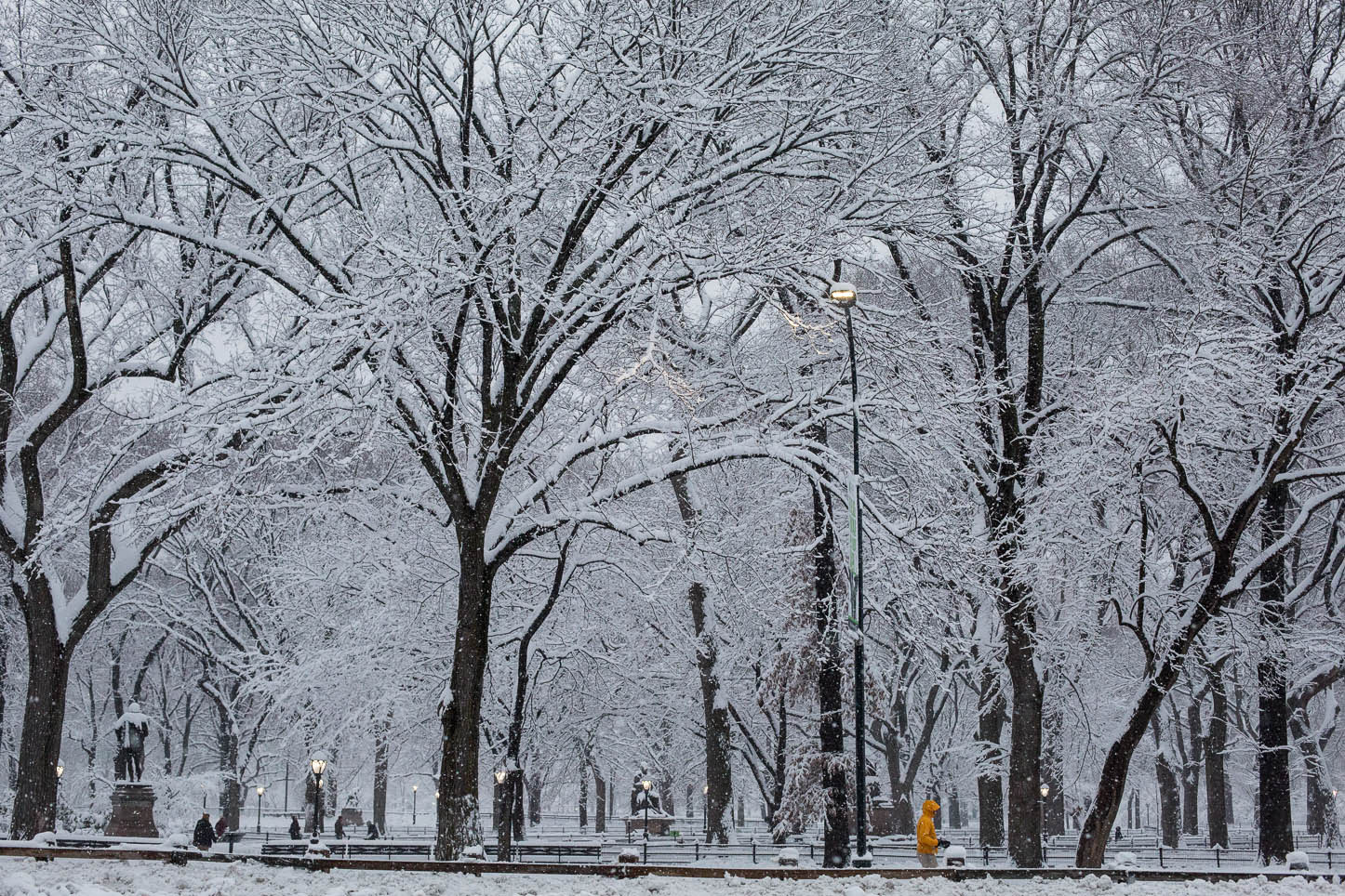  New York City, Central Park 