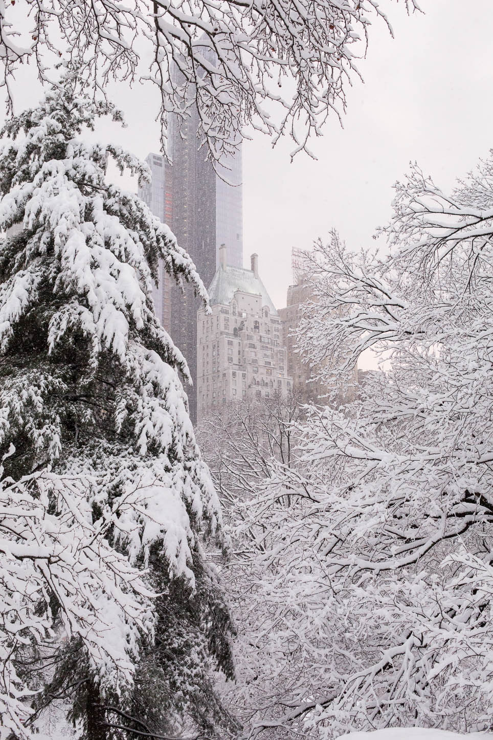  New York City, Central Park 