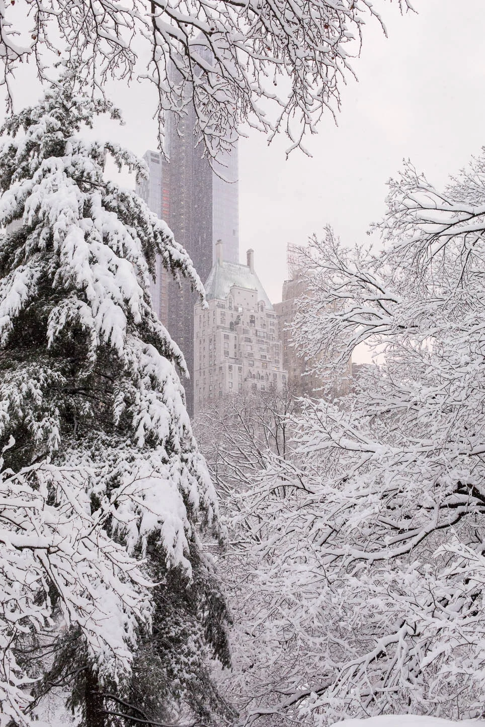 New York City, Central Park